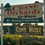 Crane Orchards U-Pick and Corn Maze