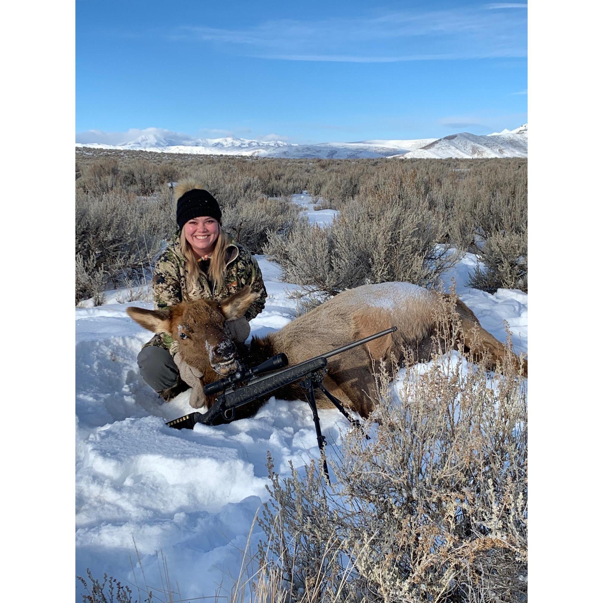 My second elk I've ever killed!