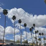 Explore Old Town Scottsdale