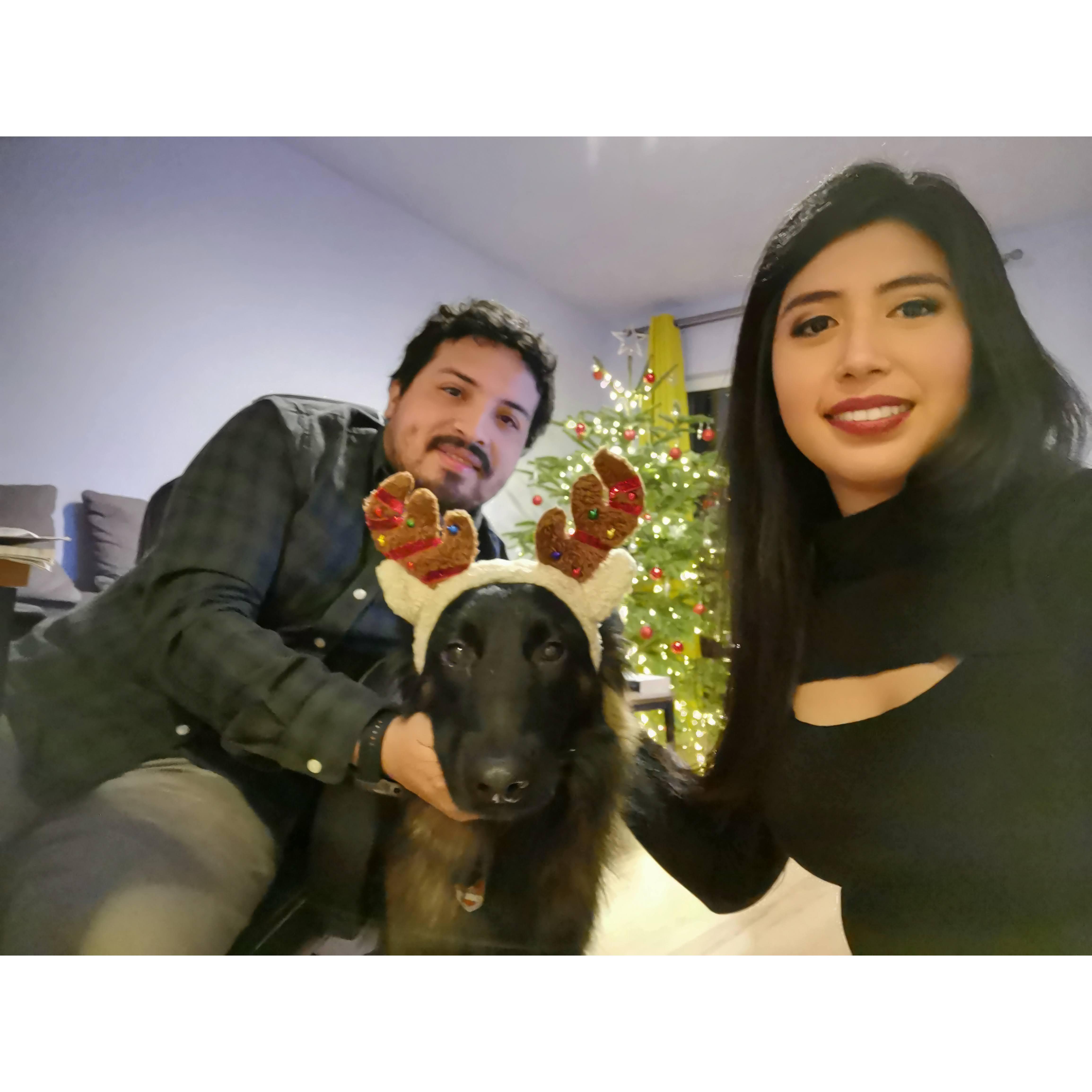 Berlin, Navidad 2020