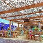 Casa Frida - Valle de Guadalupe
