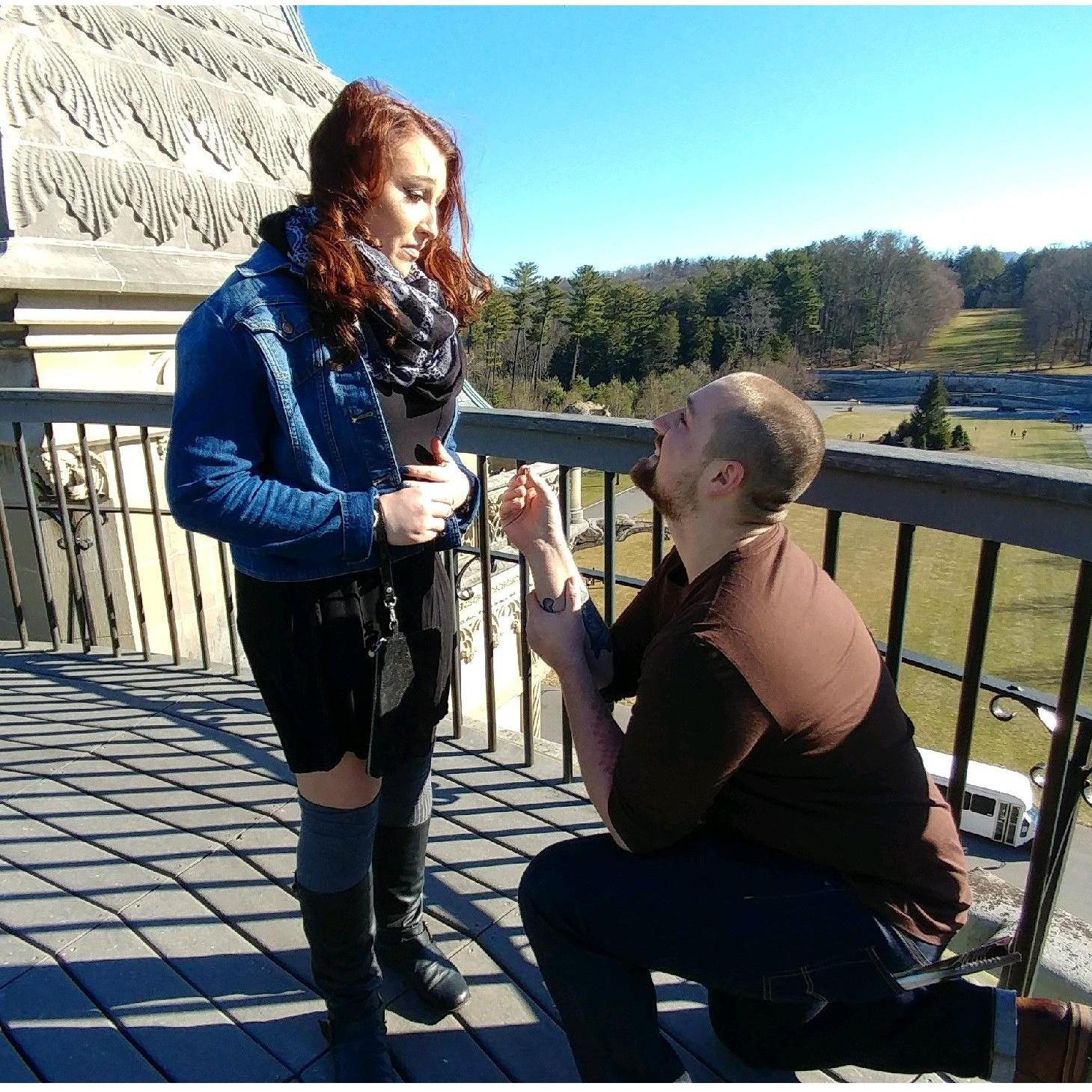 Our Proposal atop of the Biltmore Estate- our favorite place.