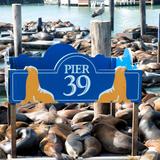 Pier 39