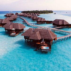 Honeymoon Fund