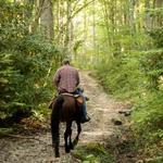 Smokemont Riding Stables