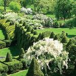 Ladew Topiary Gardens