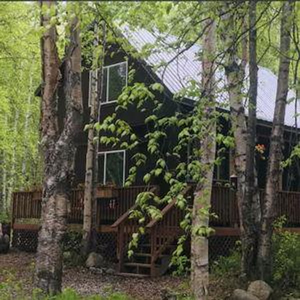 🏡 Night 10: Cabin Hideaway in Talkeetna