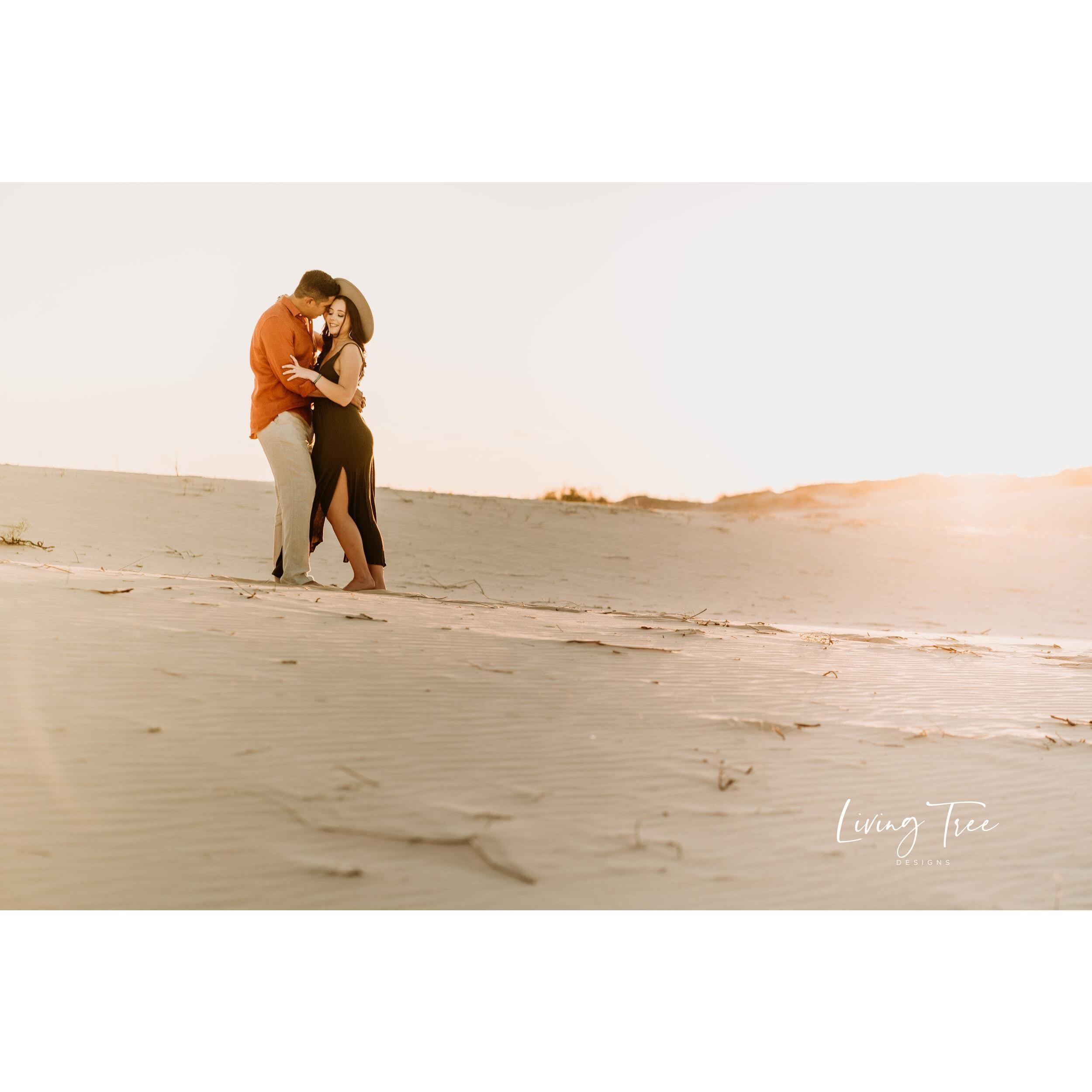 Living Tree Designs
Monahans Sandhills State Park