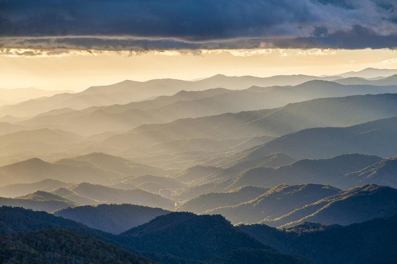 The Wedding Website of Sophia Lee and Bryce Williamson