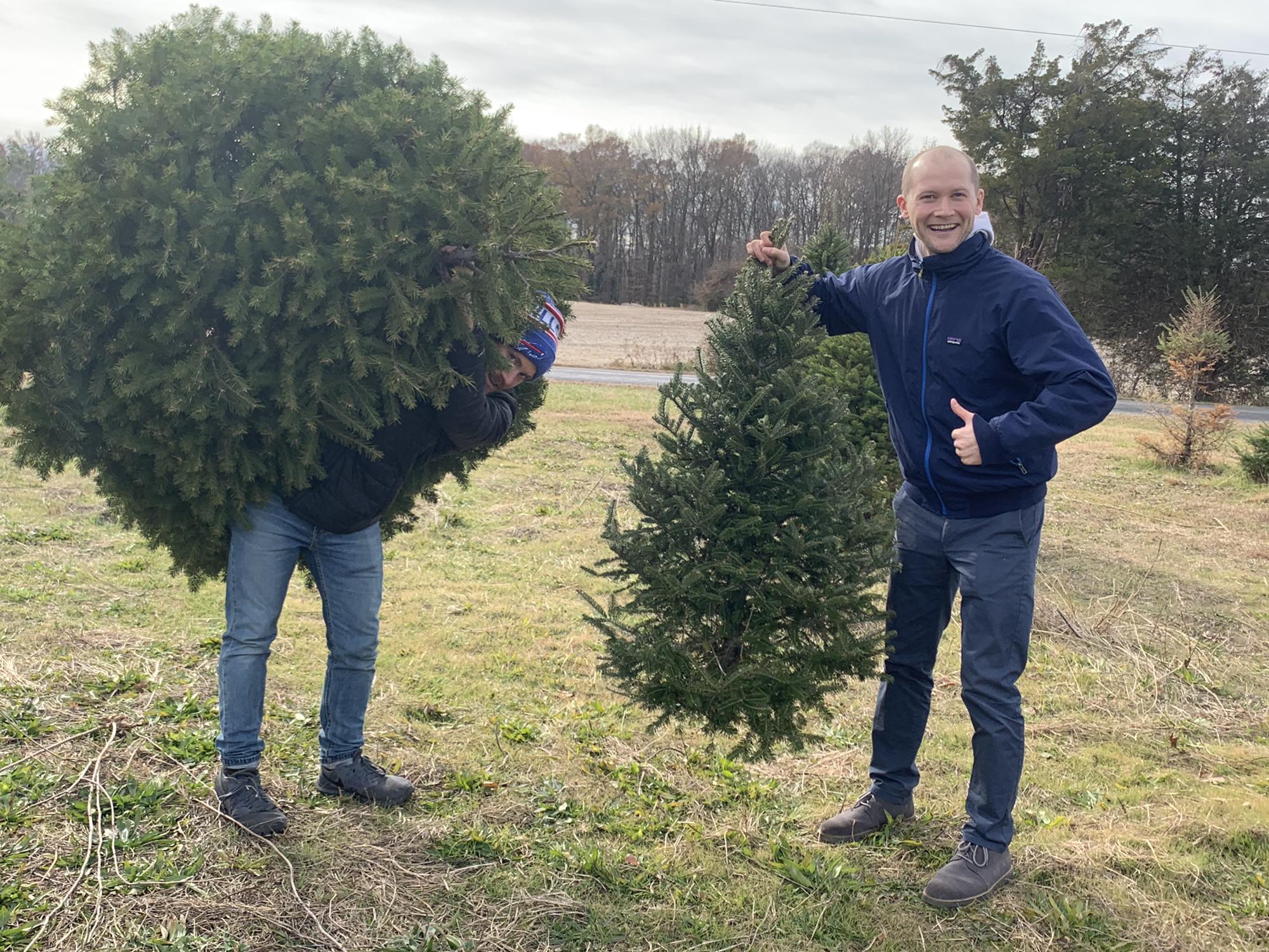 Two months later we chopped down another Christmas tree… we named it Thor