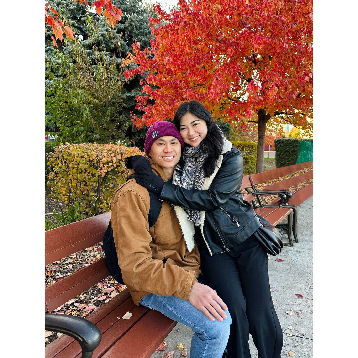 Visiting Chicago in the fall