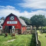 Bluebird Gap Farm