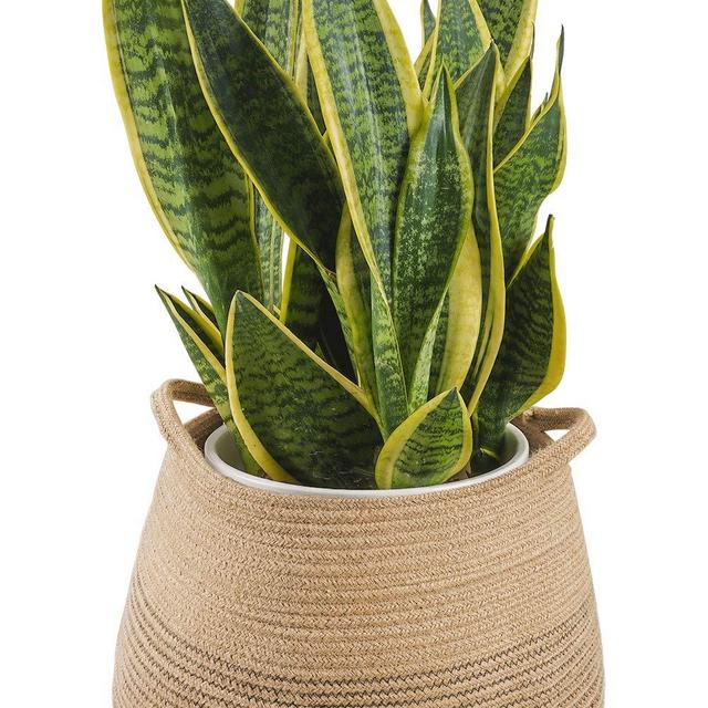 CHICVITA Jute Belly Plant Basket Woven Organizer for Storage Laundry Picnic Plant Pot Cover