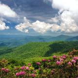 Craggy Pinnacle Trail
