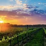 North Fork Long Island