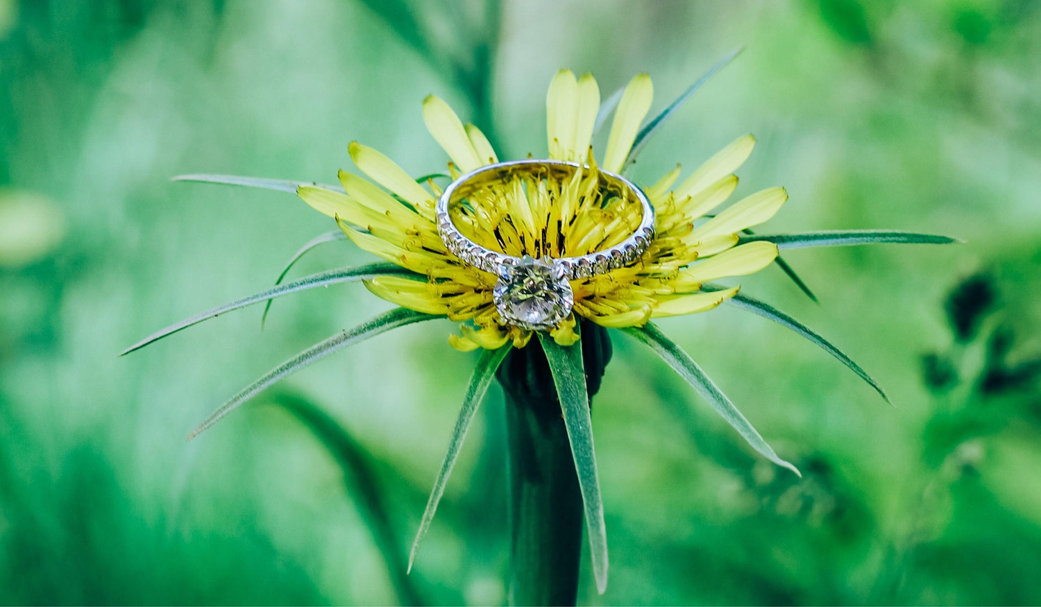 The Wedding Website of Raymond Seamon and Caitlin Priess