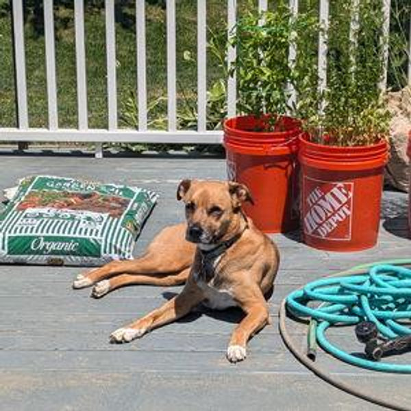 Home improvement fund🛠️💖🏡
