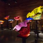 Chihuly Collection