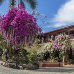 ECOTOURISM