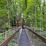 The Holden Arboretum