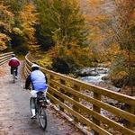 Virginia Creeper Trail