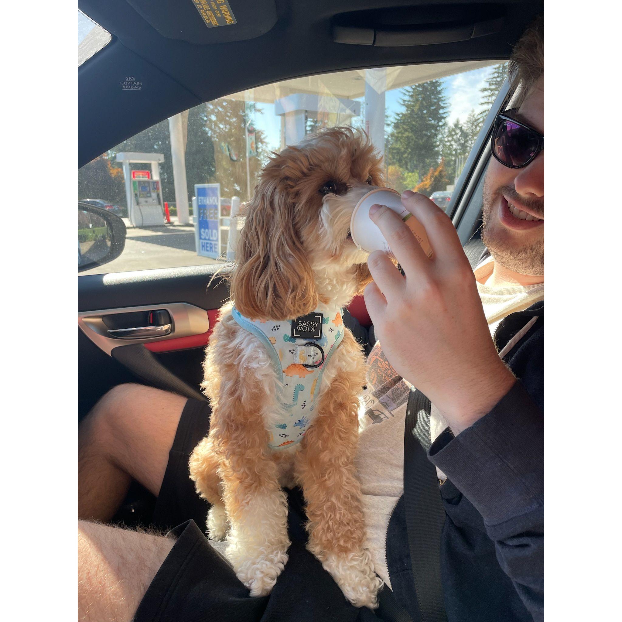 Marty's first pup cup