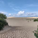 Jockey's Ridge State Park