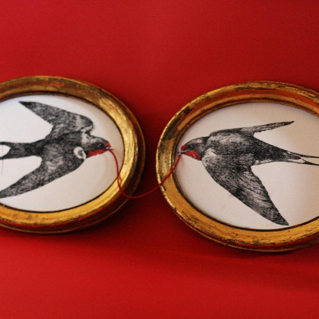 Swallows