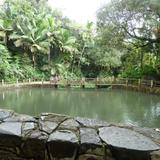Bano Grande Pool
