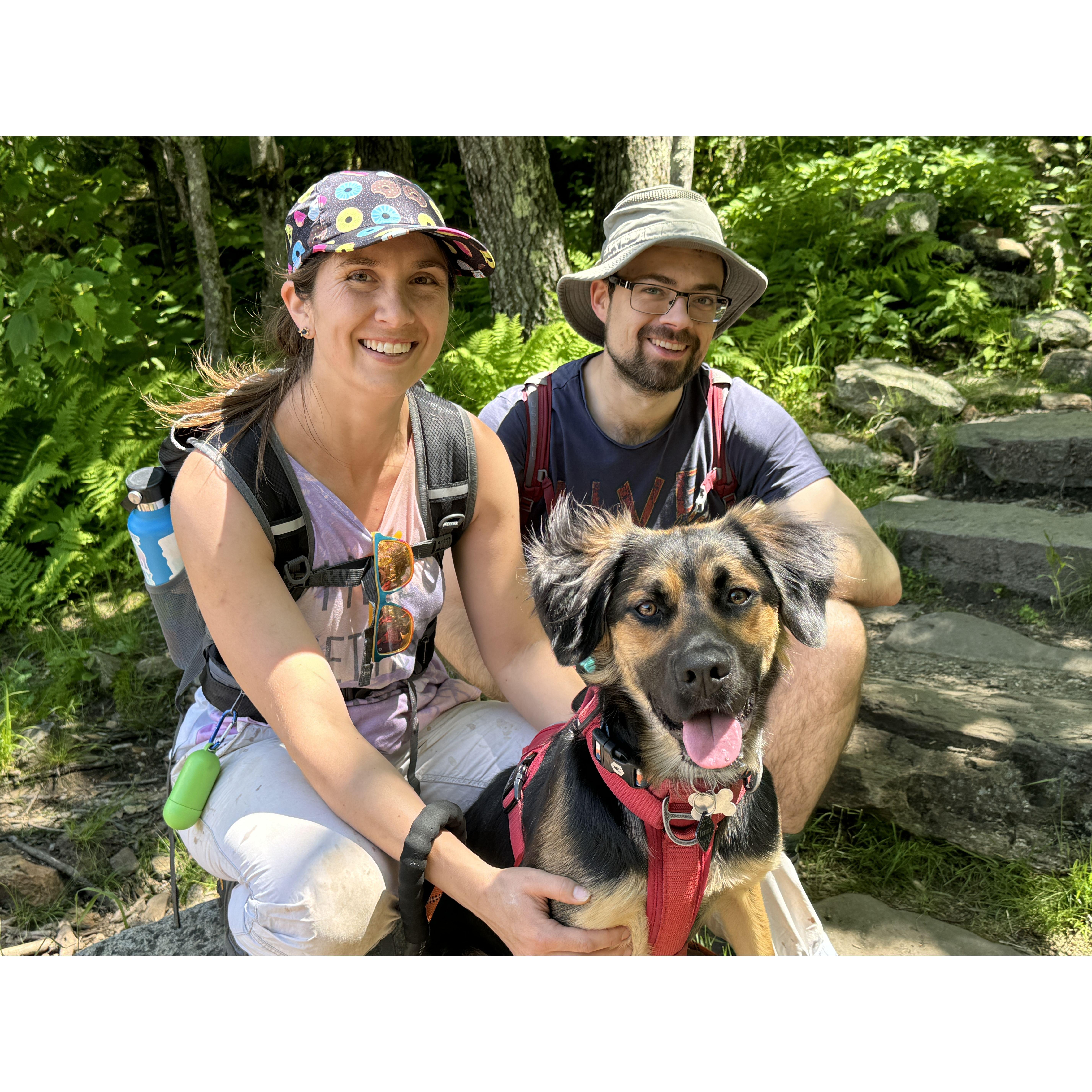 Hike up Wachusetts Mountain, Massachusetts as a family to welcome in summer!