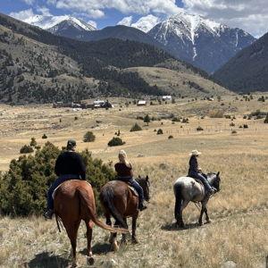 Honeymoon Horsebackride in Yellowstone