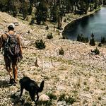 Hiking - There's Lots!