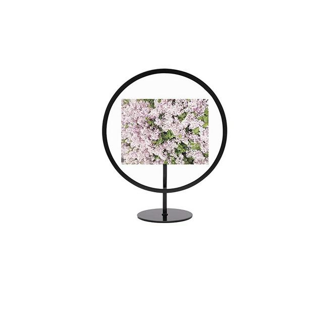 Umbra Infinity Round 4x6 Picture Frame, Floating Photo Display for Desk or Wall, 4 x 6, Black