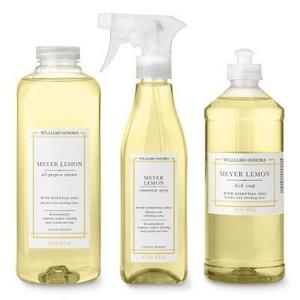Williams Sonoma Meyer Lemon Cleaning Set