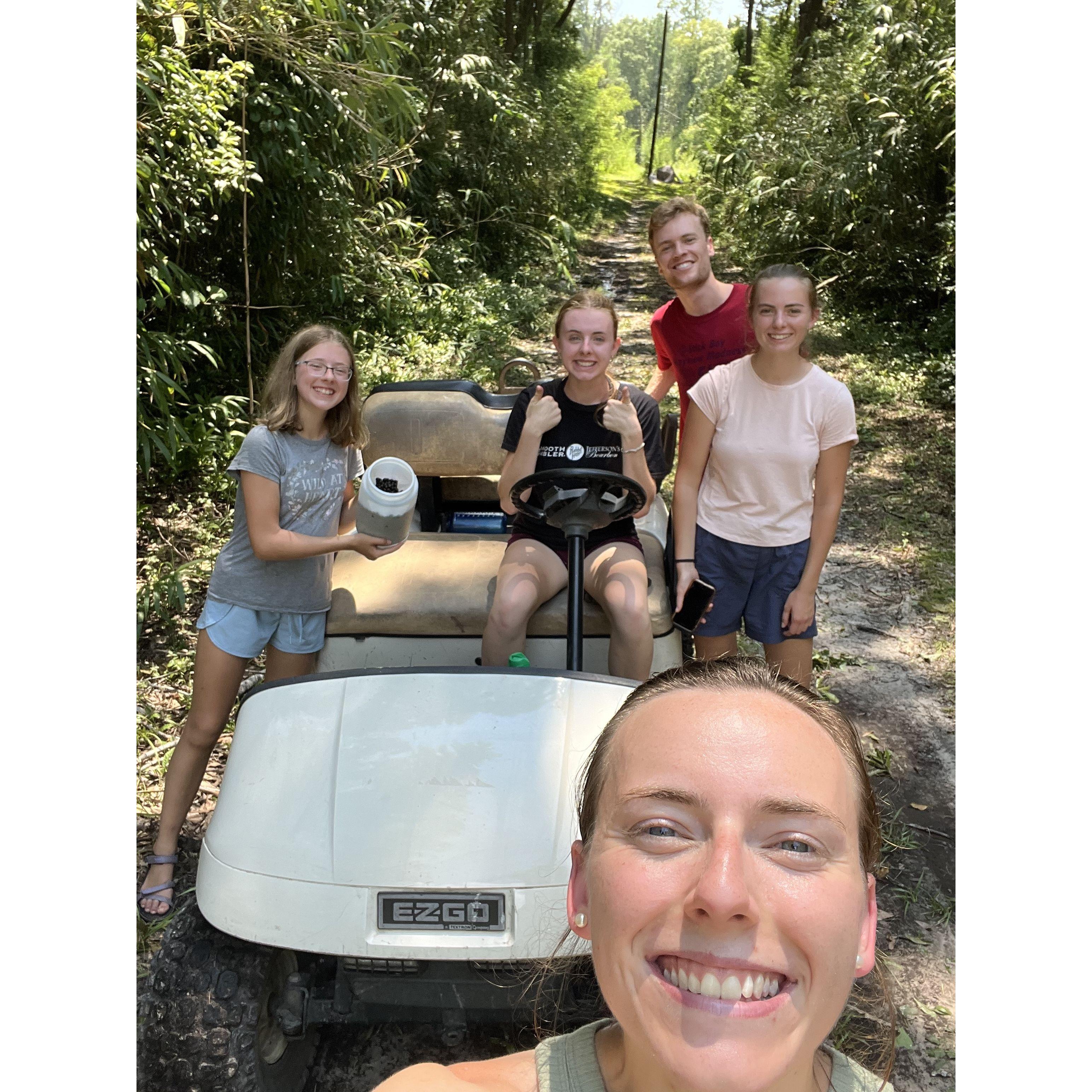 Blueberry picking in Glen Saint Mary - August 9, 2024