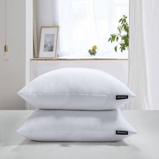 Euro 2pk Feather Down Bed Pillow - Beautyrest