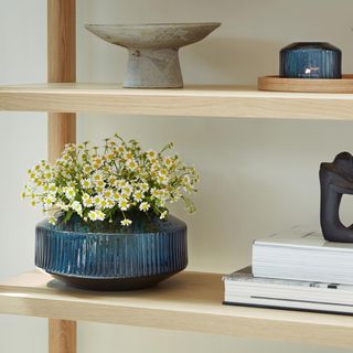 Rotunda Wide Vase