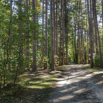 Campgrounds Near Portland Maine