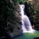 El Yunque National Forest