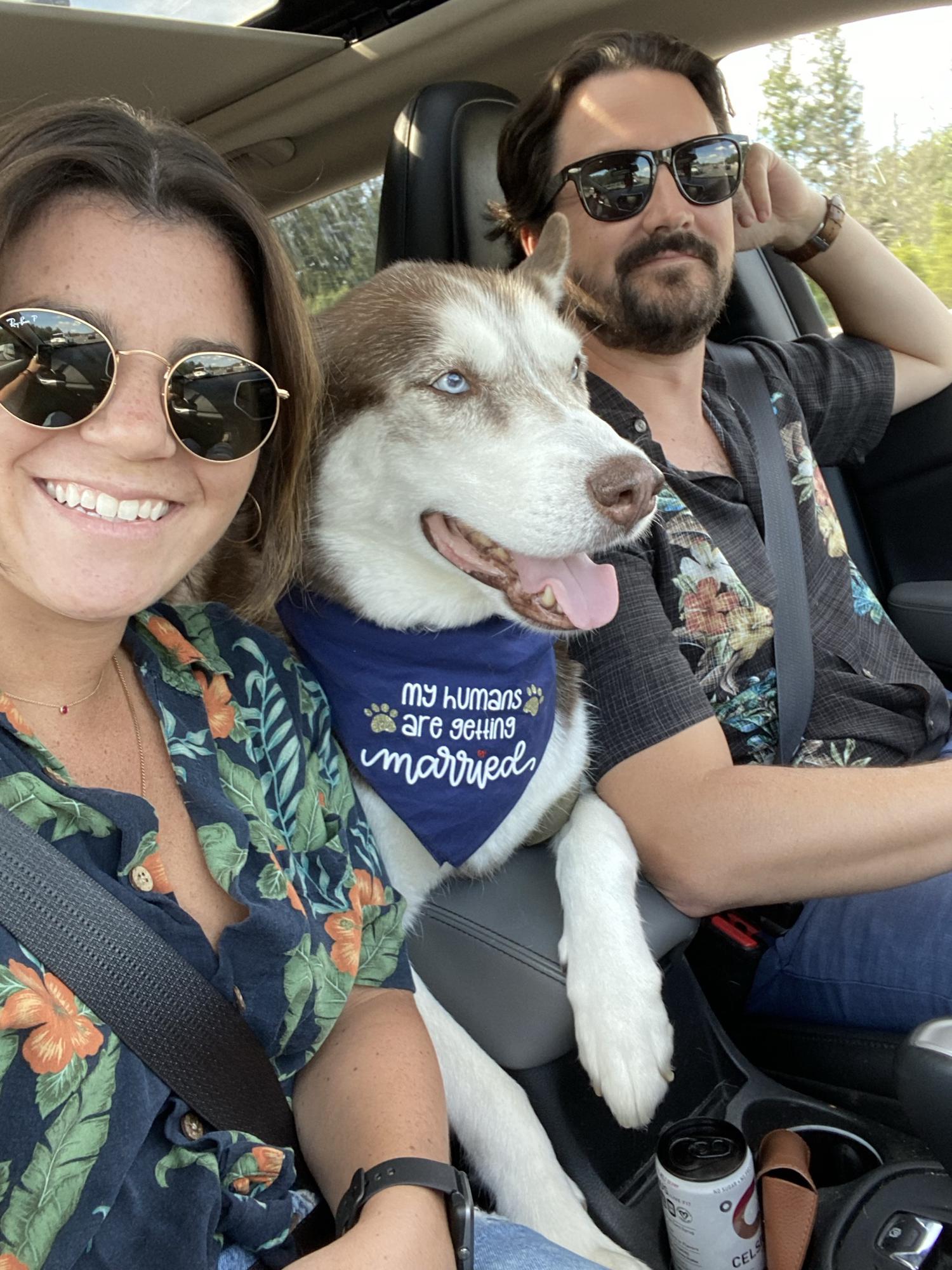 Our husky chase!