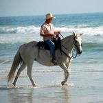 Pony Land: Pony Rides & Petting Zoo