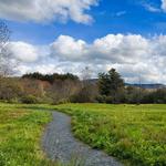 Additional Trails