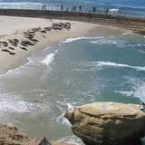 Children’s Pool (Seal Viewing Beach)