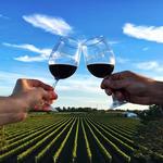 Newport Vineyards