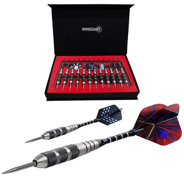 WINSDART Steel Tip Darts Set 12 Pack 22 Grams with Nonslip Iron Barrel Aluminum Dart Shafts 2 Style Flights and Darts Sharpener, Gift Case