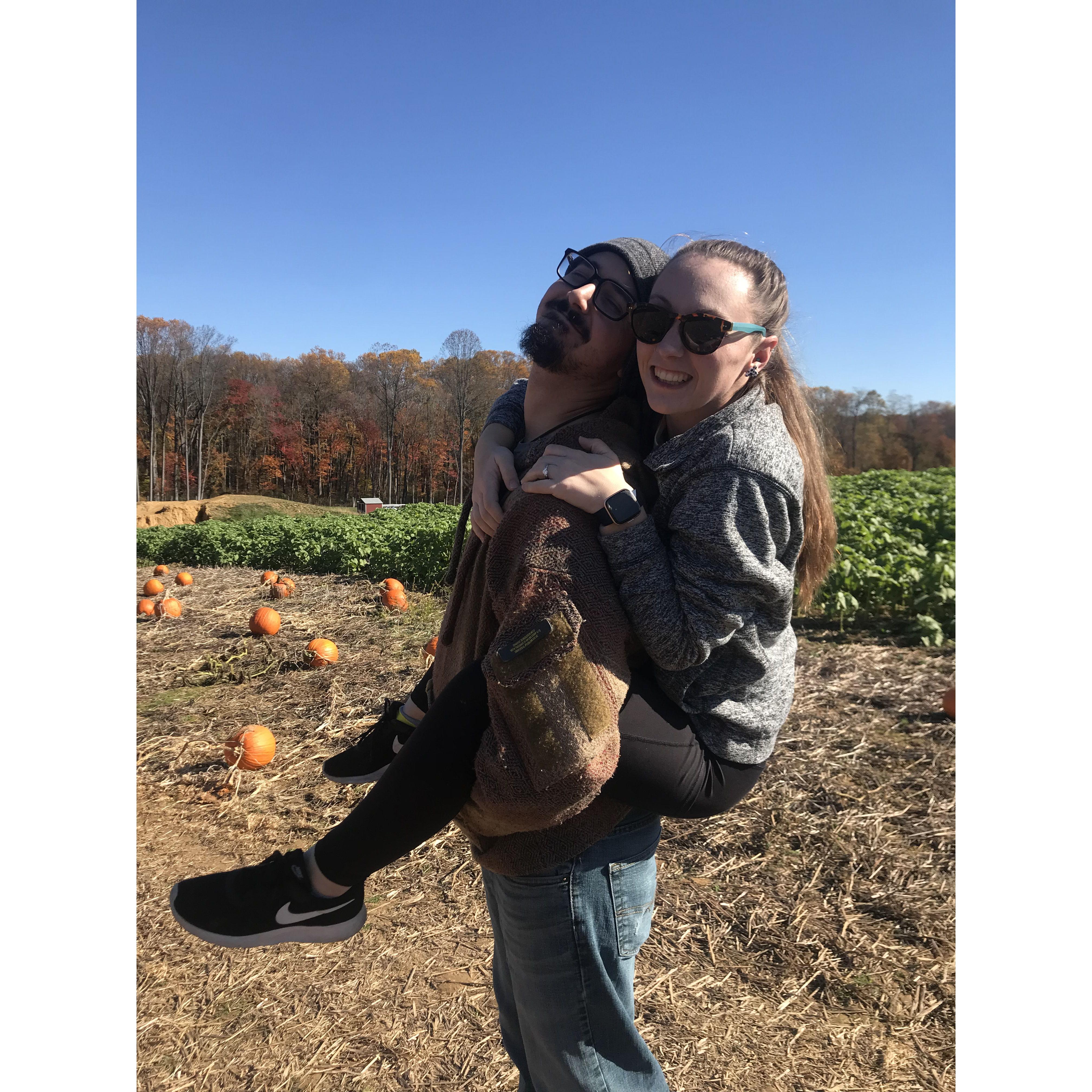 Pumpkin Picking, 2022