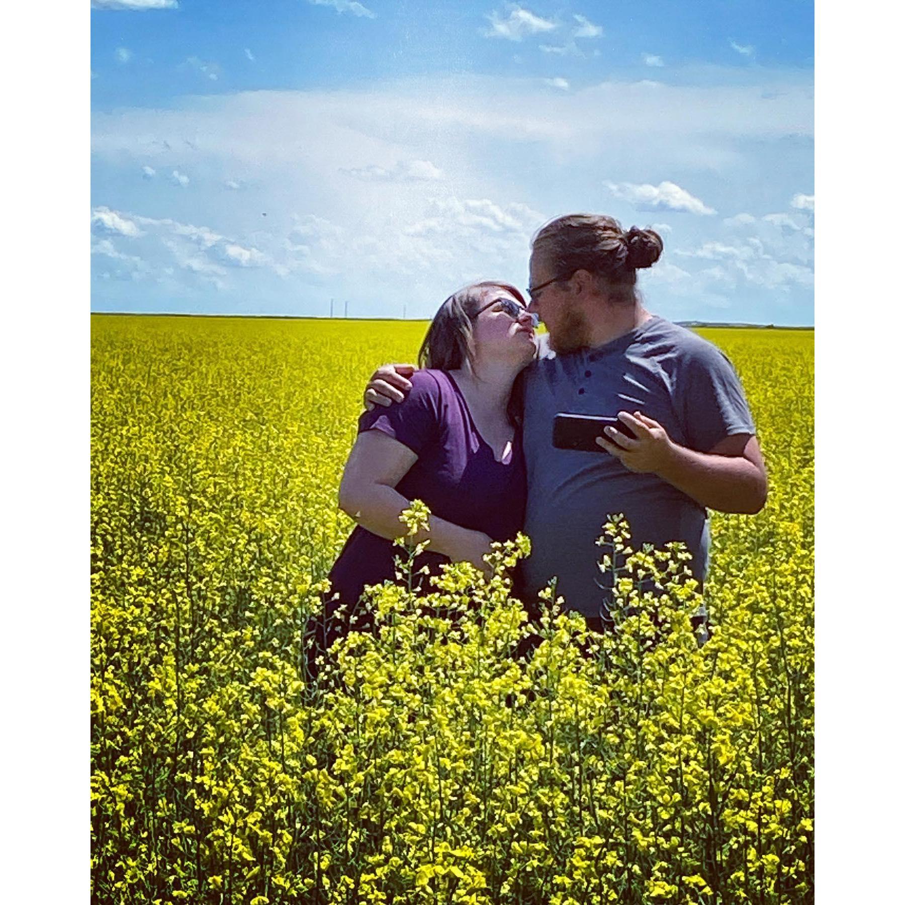 In my dad's canola field in Montana.