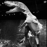 Edelman Fossil Park & Museum of Rowan University