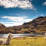 Parque Nacional Cajas