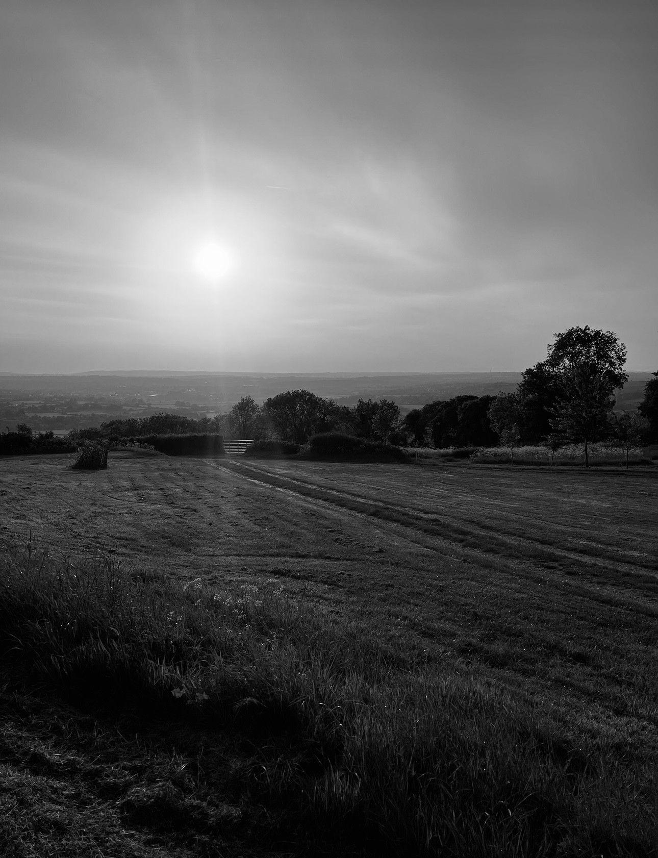 The Wedding Website of Hannah Bracey and Louis Tasker